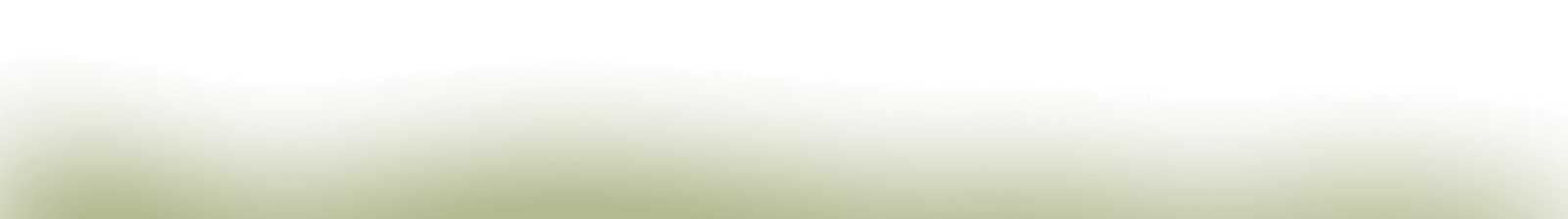 footer bg